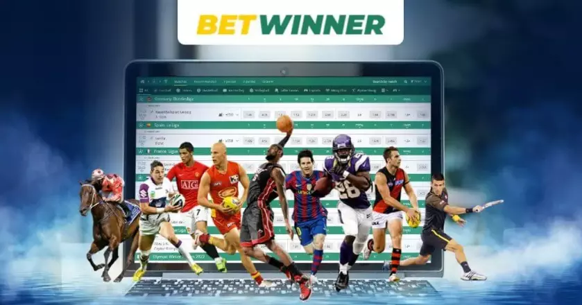 Cats, Dogs and BetWinner Turkey